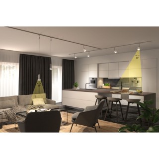 Standard 230 V Réflecteur LED R50 E14 Paulmann