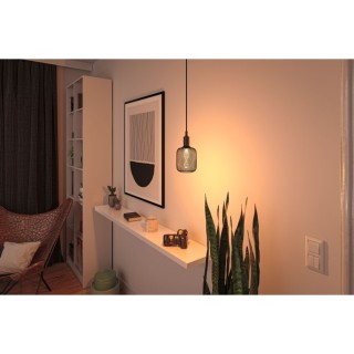 Metallic Glow Ampoules LED Zyl E27 Paulmann