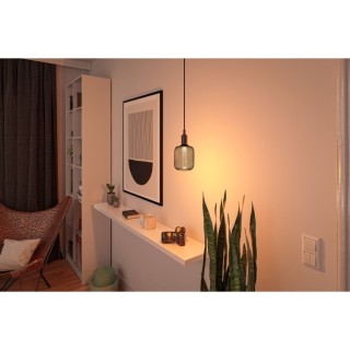 Metallic Glow Ampoule LED, Luminaire, Paulmann