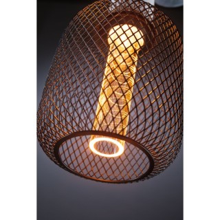 Metallic Glow Ampoule LED, Luminaire, Paulmann