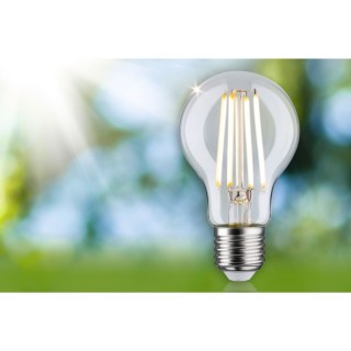 Eco-Line LED E27 Paulmann