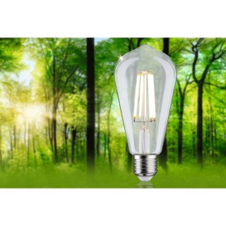 Eco-Line Filament LED ST64 E27, Ampoule, Paulmann