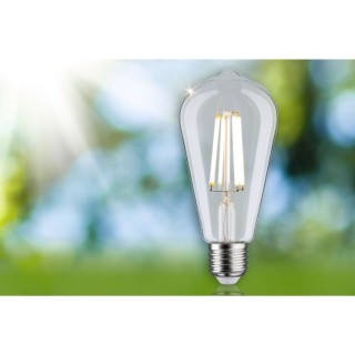 Eco-Line Filament LED ST64 E27, Ampoule, Paulmann