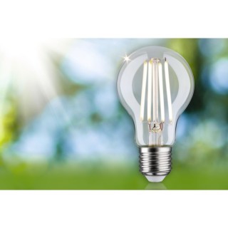 Eco-Line Filament LED E27 Paulmann