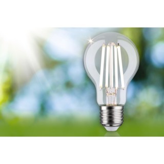 Ampoule LED E27 4W 840lm Paulmann