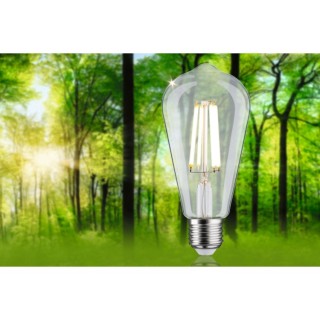 Eco-Line Filament Ampoule LED ST64 E27 - Paulmann