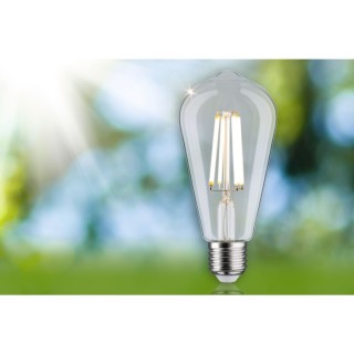 Eco-Line Filament Ampoule LED ST64 E27 - Paulmann