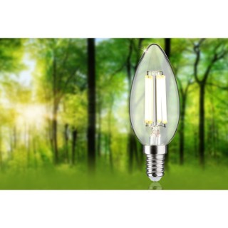 Eco-Line Bougie LED E14 Paulmann