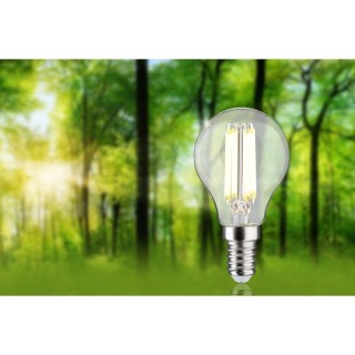 Eco-Line Filament Sphérique LED Paulmann