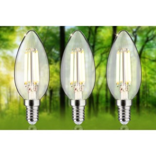 Eco-Line Bougie LED E14 525lm - Paulmann