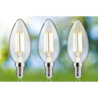 Eco-Line Bougie LED E14 525lm - Paulmann