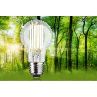 Eco-Line Filament Ampoule LED E27 Paulmann