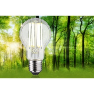 Eco-Line Filament LED E27 Luminaire Paulmann