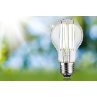 Eco-Line Filament LED E27 Luminaire Paulmann