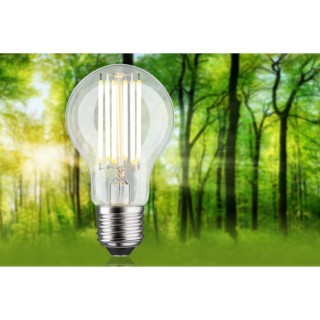 Eco-Line Filament Ampoule LED Paulmann