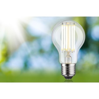 Eco-Line Filament Ampoule LED Paulmann