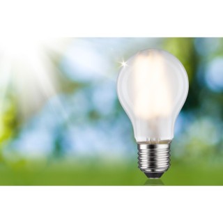Eco-Line E27 Ampoule LED Luminaire Paulmann
