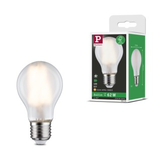 Eco-Line E27 Ampoule LED Luminaire Paulmann