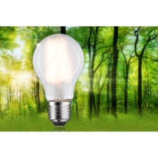 Eco-Line Filament LED E27 Luminaire Paulmann