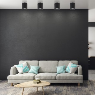 Plafonnier Orion 1 lumière – noir – en métal – style moderne