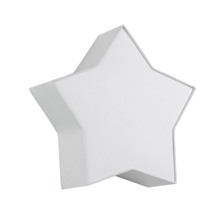 Plafonnier Star 2 lumières – blanc – en métal – style moderne