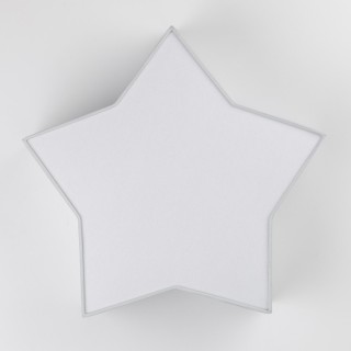 Plafonnier Star 2 lumières – blanc – en métal – style moderne