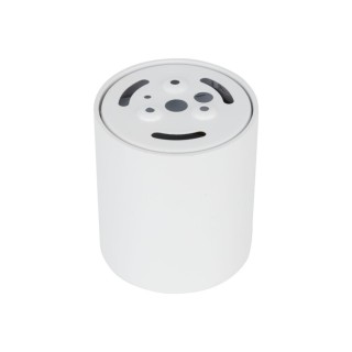 BLANC FLAMBOYANT CCT 12W