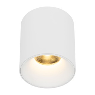 BLANC FLAMBOYANT CCT 12W