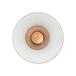 BLANC FLAMBOYANT CCT 12W