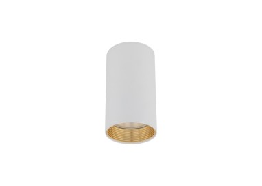 Downlight blanc AMIS