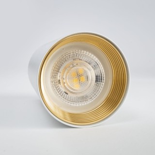 Downlight blanc AMIS