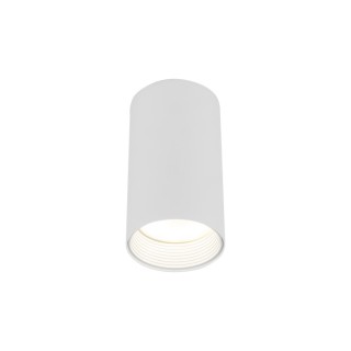 Downlight blanc AMIS