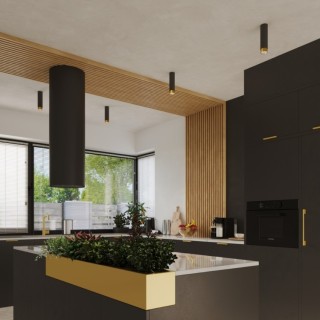 Plafonnier NERO 22,5 noir/doré