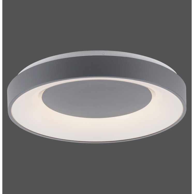 Plafonnier, gris, 1xLED-Board/26,50W/2700-5000K, luminaire intérieur, IP20
