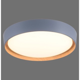 Plafonnier, gris, 1xLED-Board/29W/3000K, luminaire intérieur, IP20