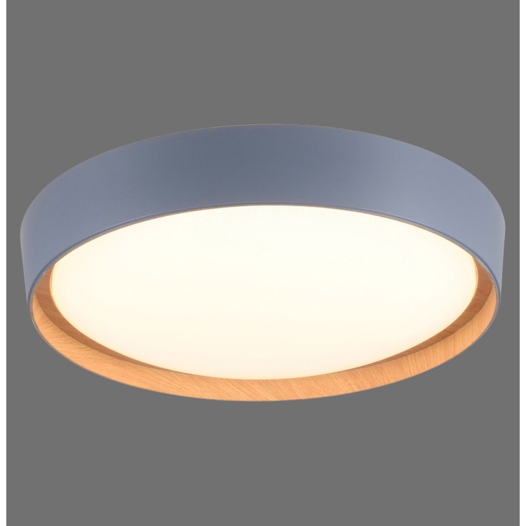 Plafonnier, gris, 1xLED-Board/29W/3000K, luminaire intérieur, IP20