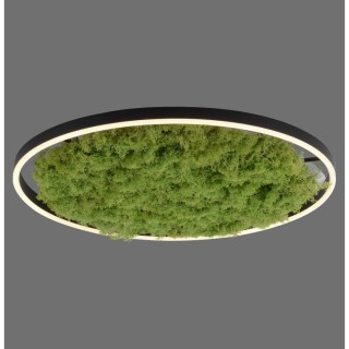 Plafonnier, mousse, 1xLED-Board/28W/3000K, luminaire intérieur, IP20