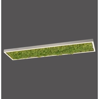 Plafonnier, mousse, 1xLED-Board/25W/3000K, luminaire intérieur, IP20