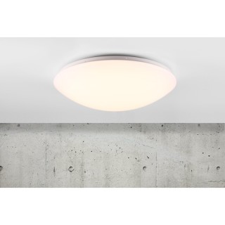 Ask 41 | IP20 | Plafonnier | Blanc