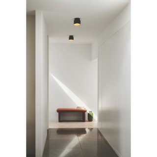 Torone | Spoterie | Noir