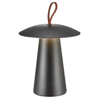Ara To-Go 2 | Luminaire nomade | Noir