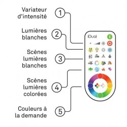 Jedi Lighting LED Olivine 1 L idual et télécommande