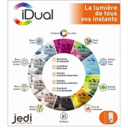 Jedi Lighting LED Olivine 1 L idual et télécommande
